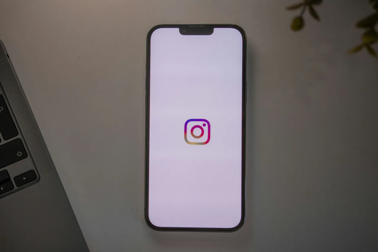 Cocos galant branding social media